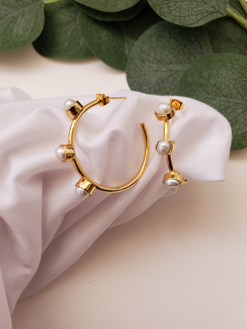 Salacia Earrings Hoops